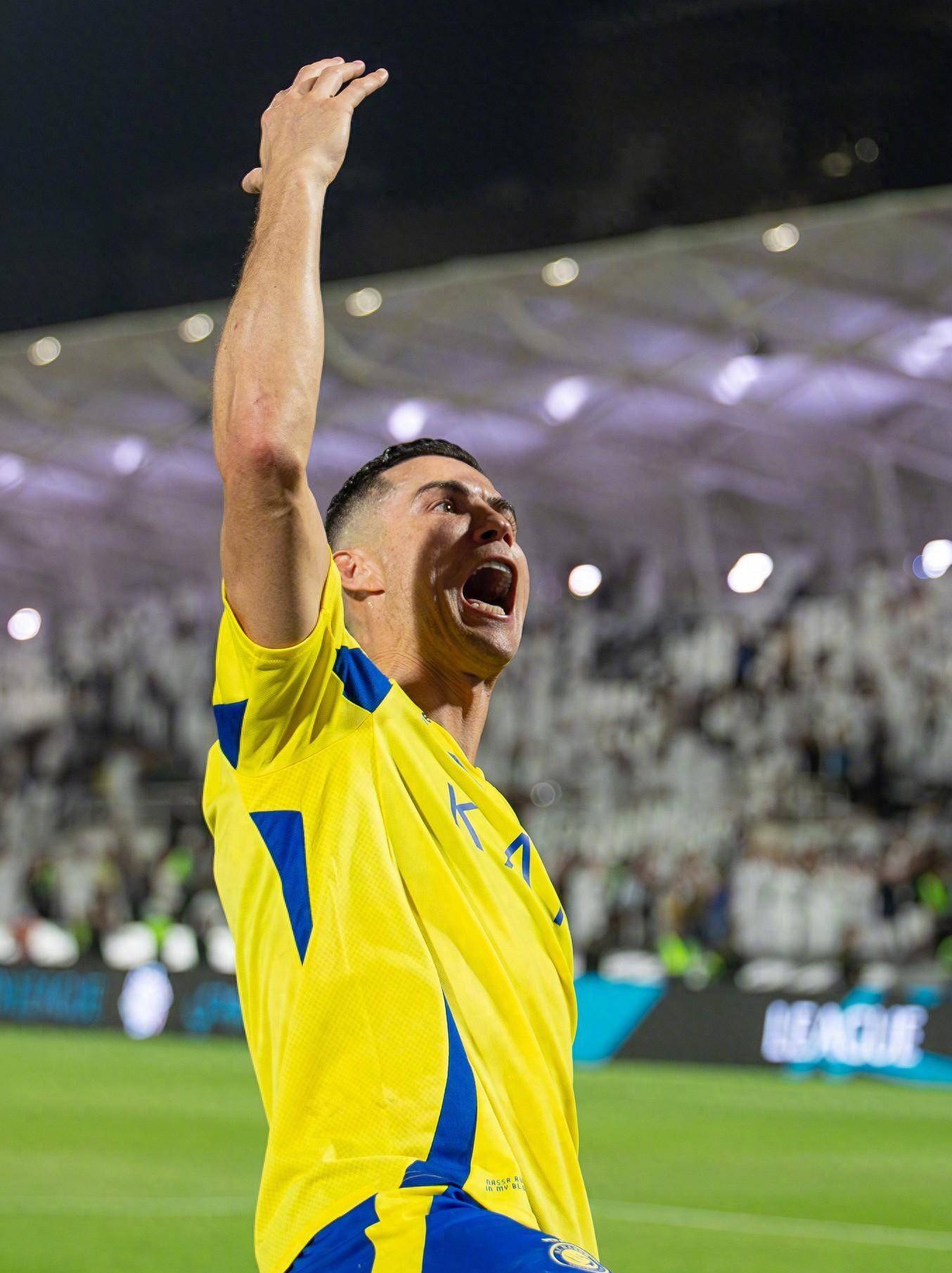 需要扎实的 需要扎实的