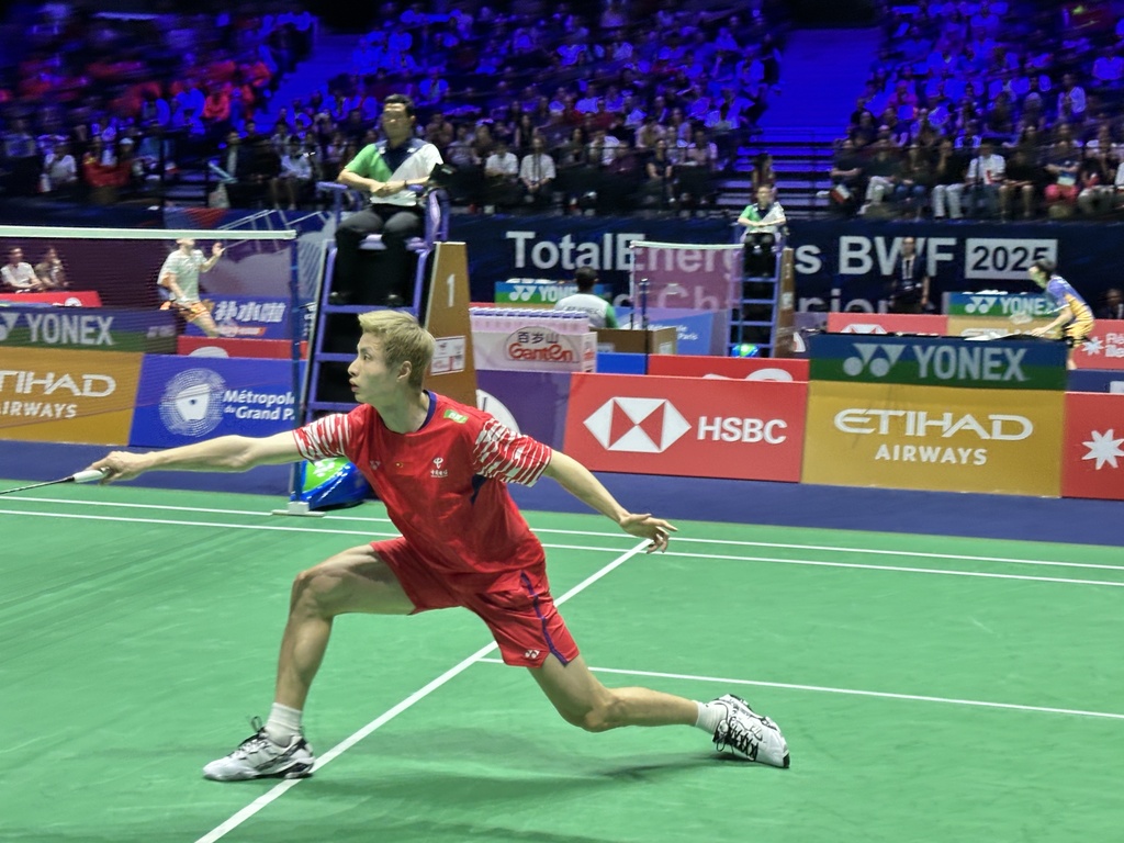 供了保障 供了保障